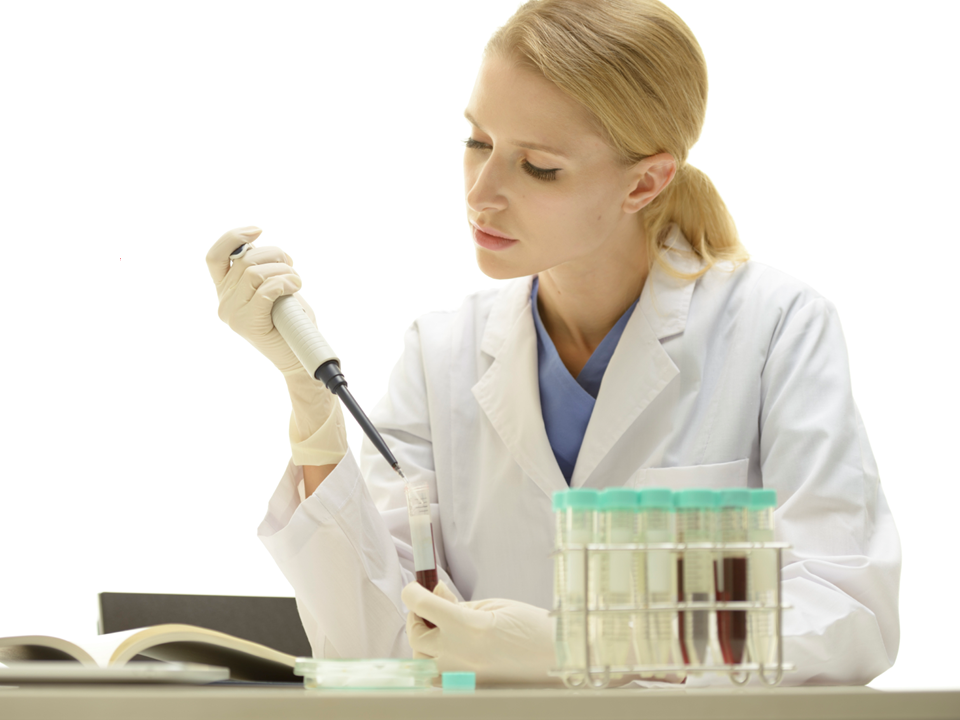 Transfusion Roles